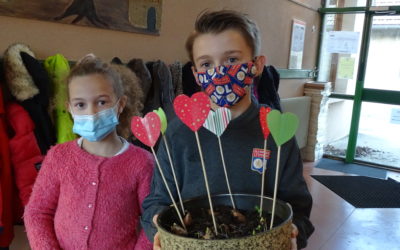 Des fleurs pour l’EHPAD des Tilleuls