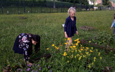 Projet du Parc de Chartreuse – Entrons dans le Moyen Age par le jardin Cartusien