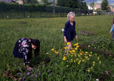 Les jardins cartusiens