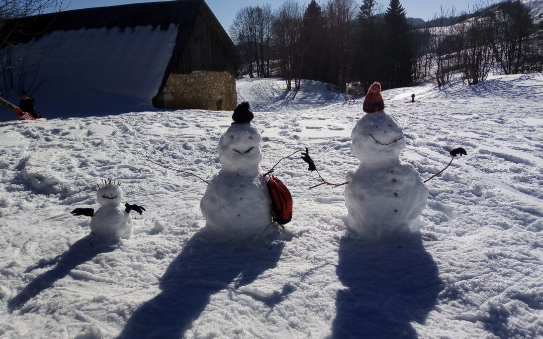 Sortie raquettes au Désert d’Entremont pour les classes 5 et 6