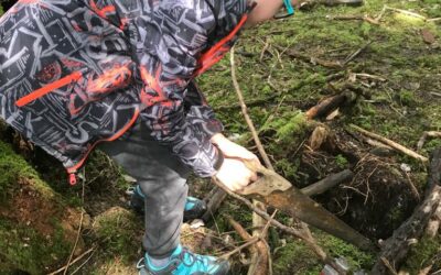 Sortie forêt pour les CE1